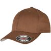 Coyote Brown